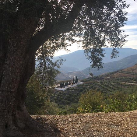 Jardin Andaluz Appart Alhambra Pinos del Valle Exteriér fotografie